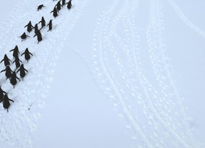 antarctica-hero-new-size-1