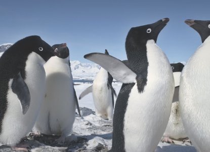 antarctica-hero-new-size-2