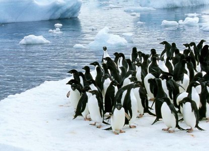 antarctica-hero-new-size-9