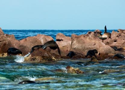 Galapagos Islands landscapes